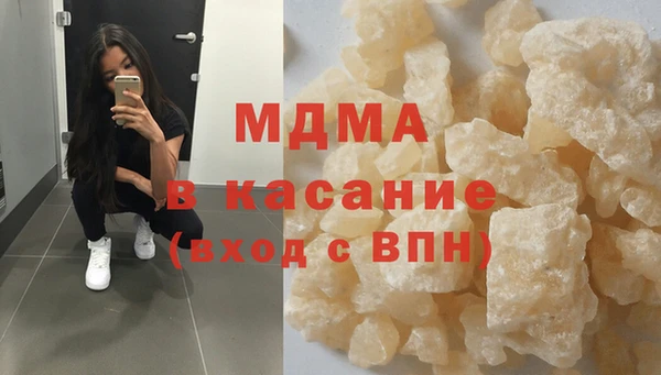 индика Медвежьегорск