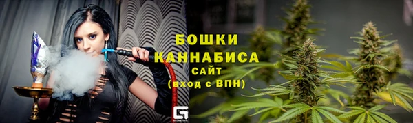 тгк Горнозаводск