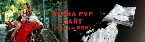 ECSTASY Горняк
