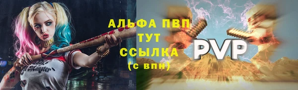 ECSTASY Горняк