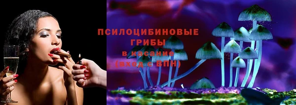 шишки Мегион