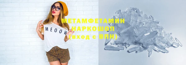 индика Медвежьегорск