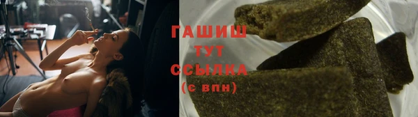 шишки Мегион