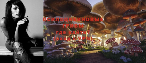 шишки Мегион