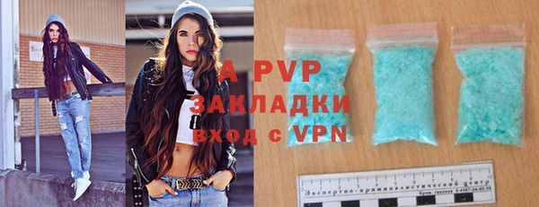 индика Медвежьегорск