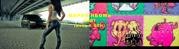 ECSTASY Горняк